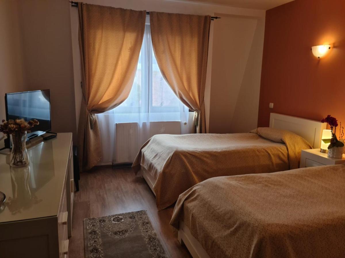 Hotel Ramona à Gura Humorului Extérieur photo